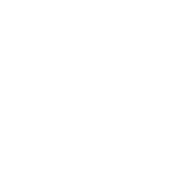 NDA White Logo